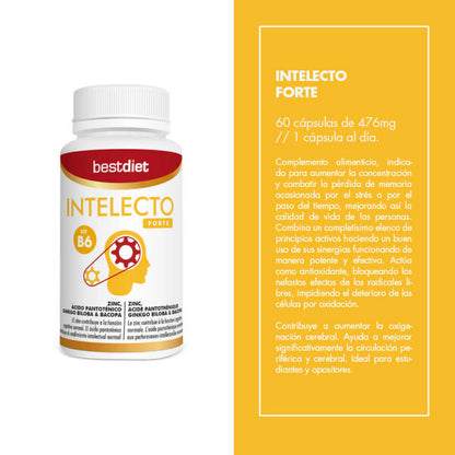 SUP Intelecto Forte 60 Cápsulas – Memoria y Rendimiento Mental - additional image 3