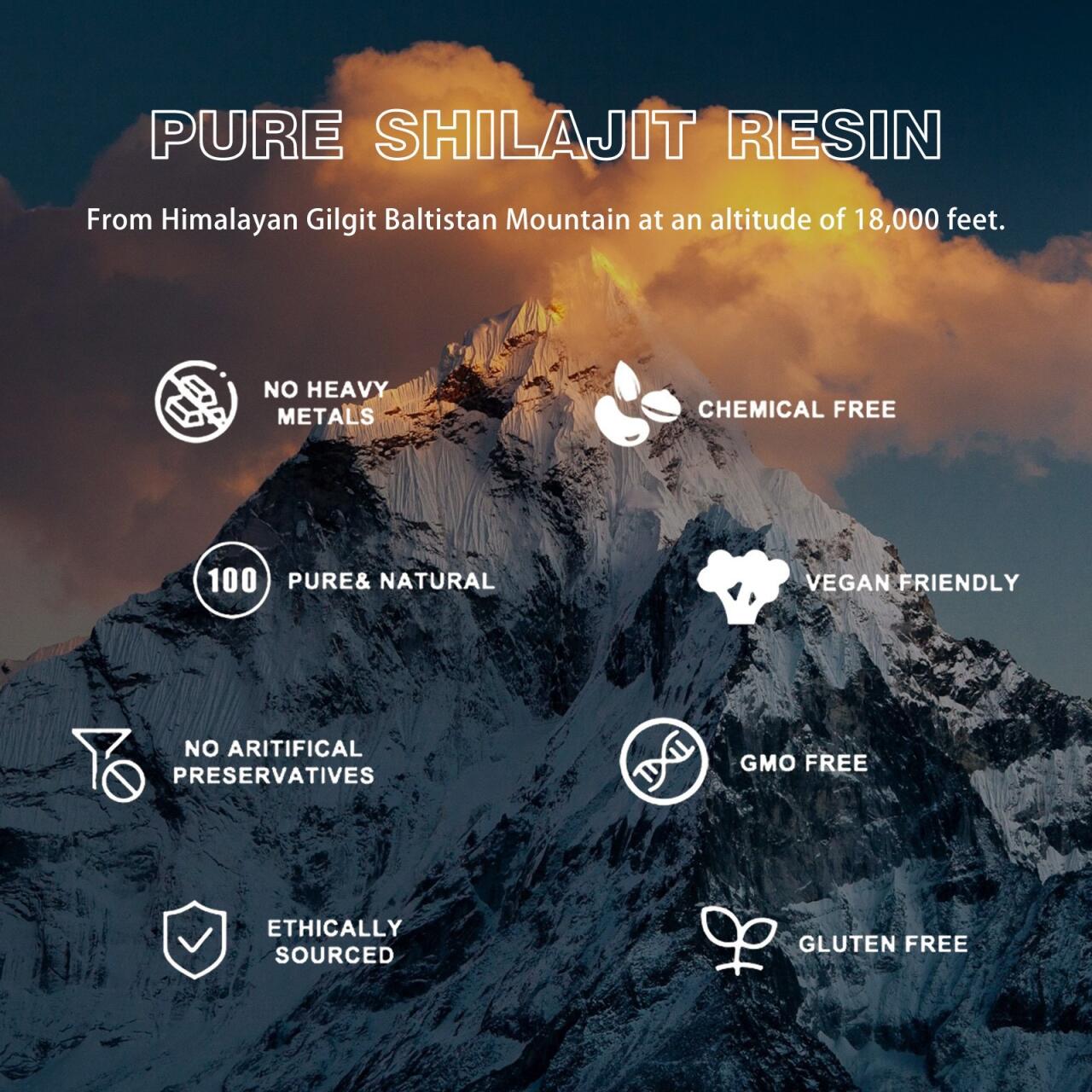 Shilajit Pure Essence™